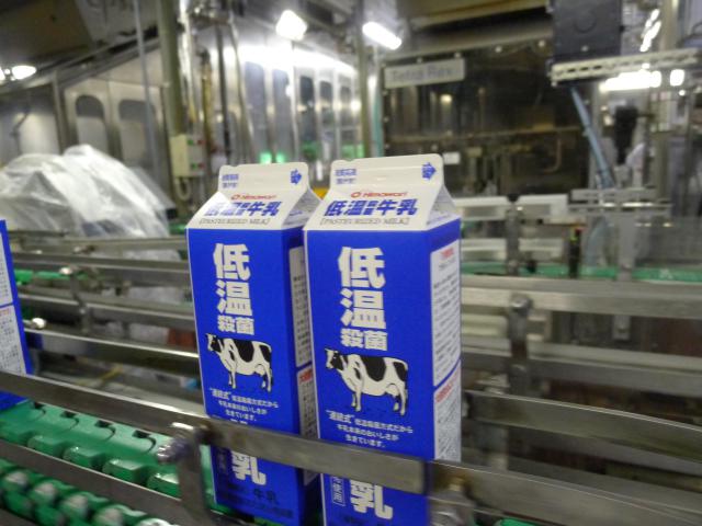 低温殺菌牛乳と会社ブログ