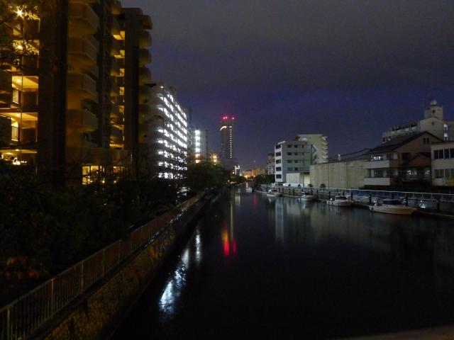 雨の堀川、地理院地図