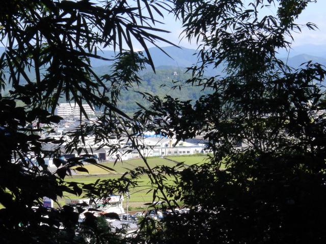 天竺右近花氏と長宗我部国親とプレート運動