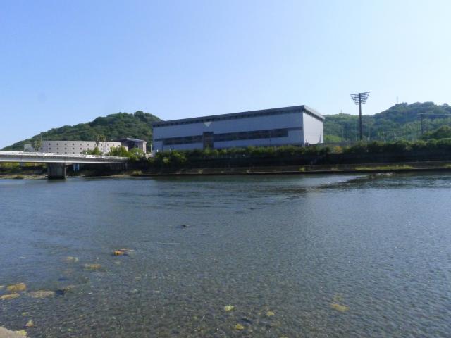 オリンピックと市営プール