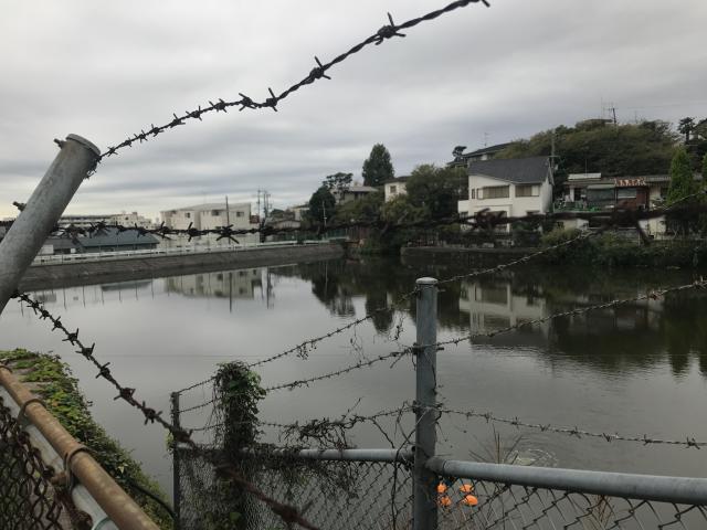 行ってみないとわからない