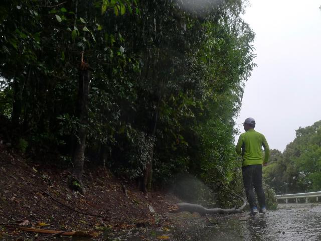 台風接近中の五台山