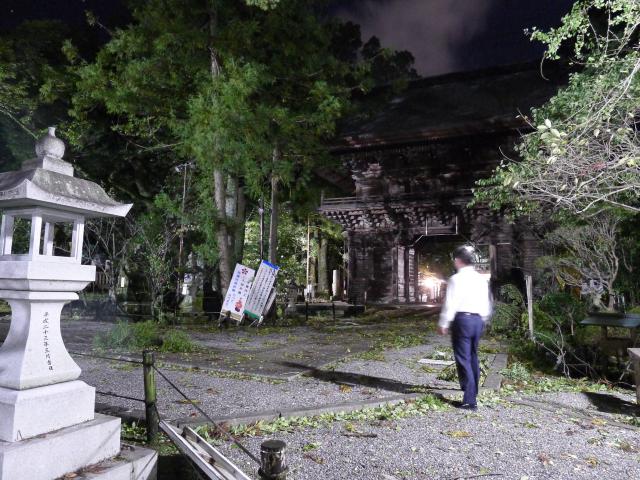 台風の後始末
