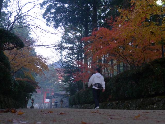 高野山の朝