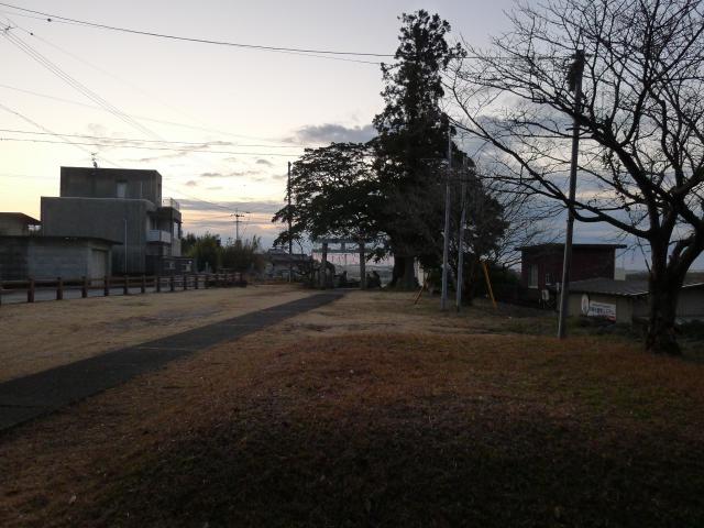 相撲は、素晴らしい