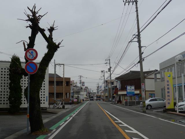 栴檀のある風景
