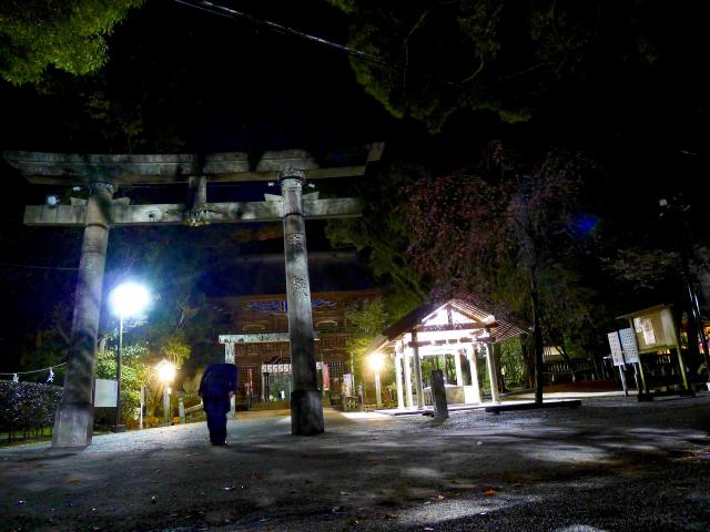 12年目の枝垂れ桜
