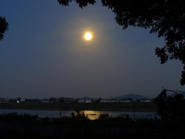 満月の物部川
