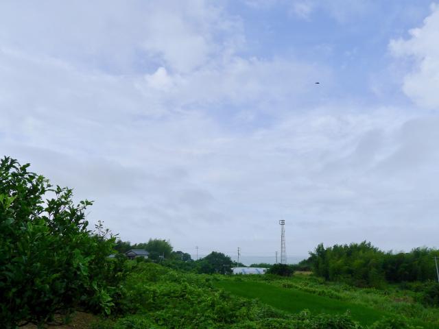 穴内に残る縄文