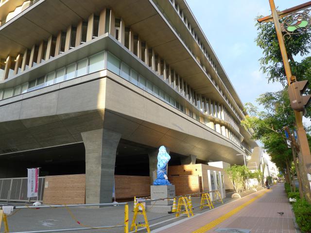 好きなもの 苺 珈琲 花 美人 懐手して 宇宙見物