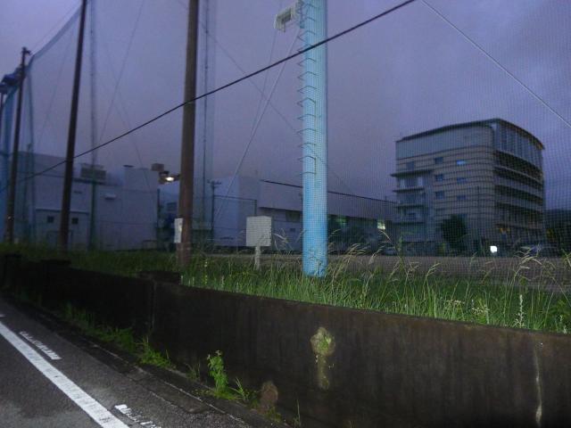 高知商業