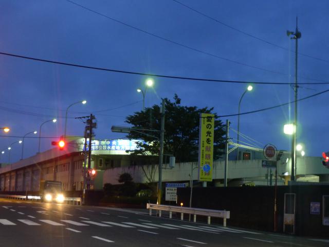 青果物と水産物と牛乳