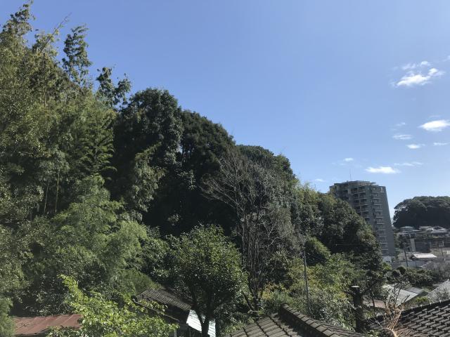 里山