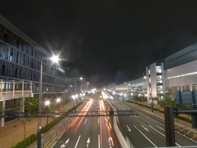 初めての、豊洲市場