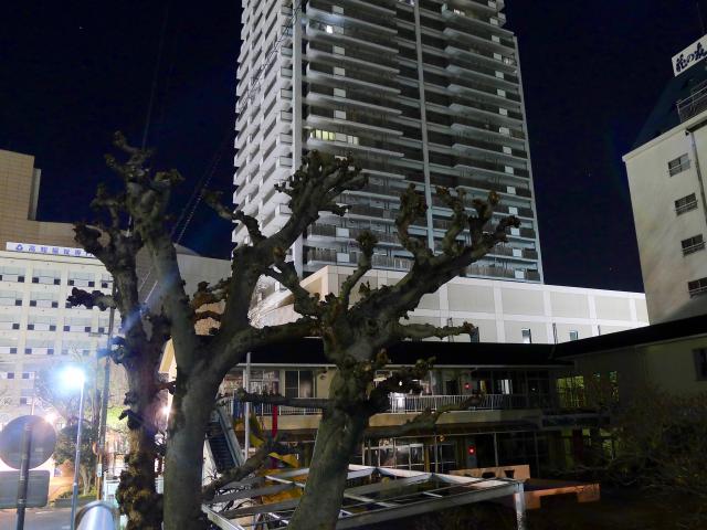 なんとは無しに、冬本番