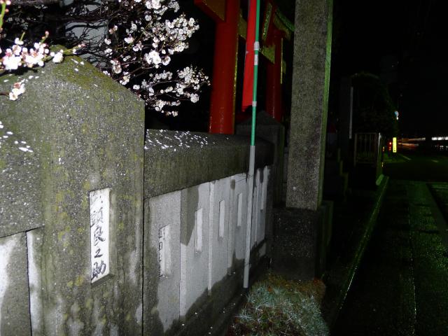 先人たちがつくってきた町