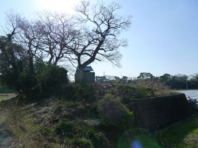 野市町深渕