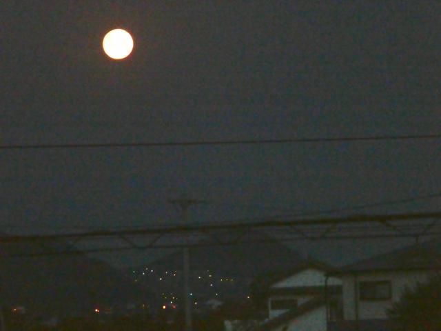 月面の海