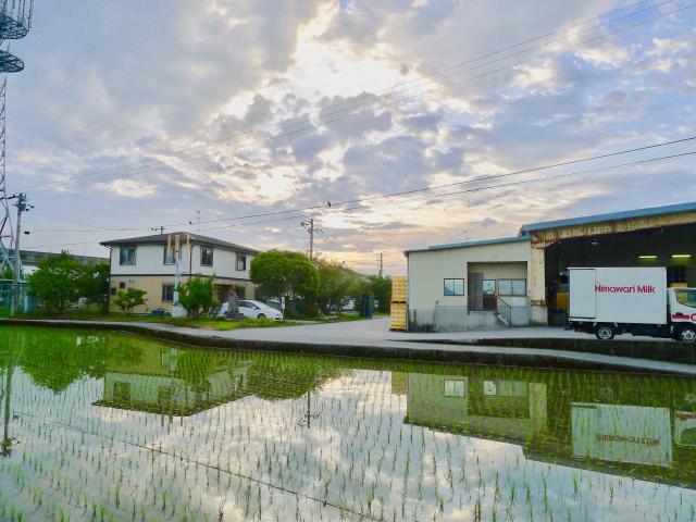 サトウキビ畑と空気の匂い