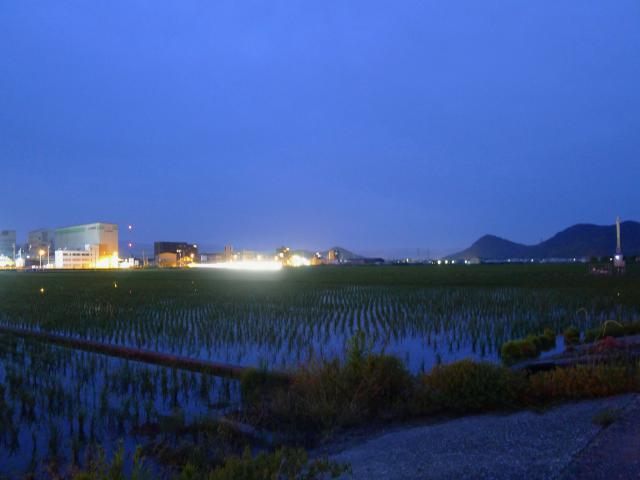 田んぼのある風景