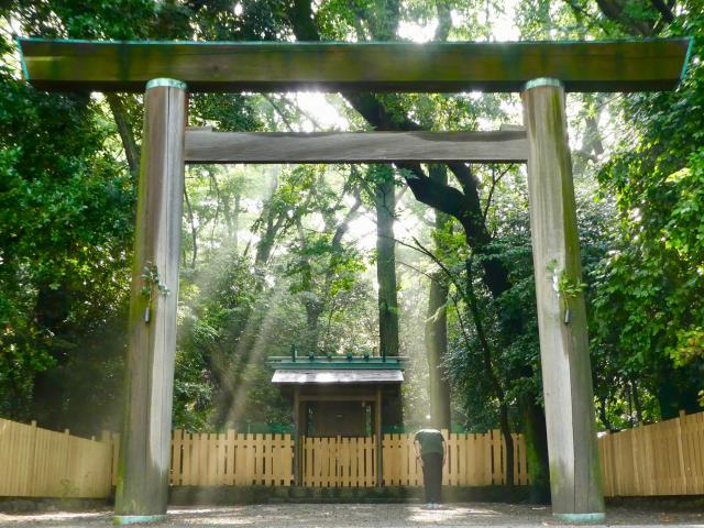 熱田神宮、下知我麻神社の朝
