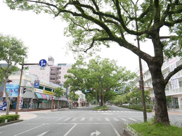 高知市街地の風景