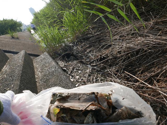 半世紀後の、ゴミ