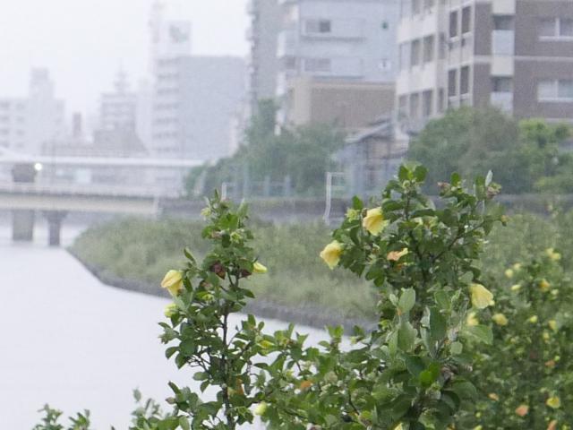 川の名前とロマンチック