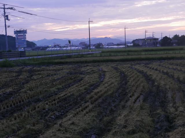 45分間の夜明け