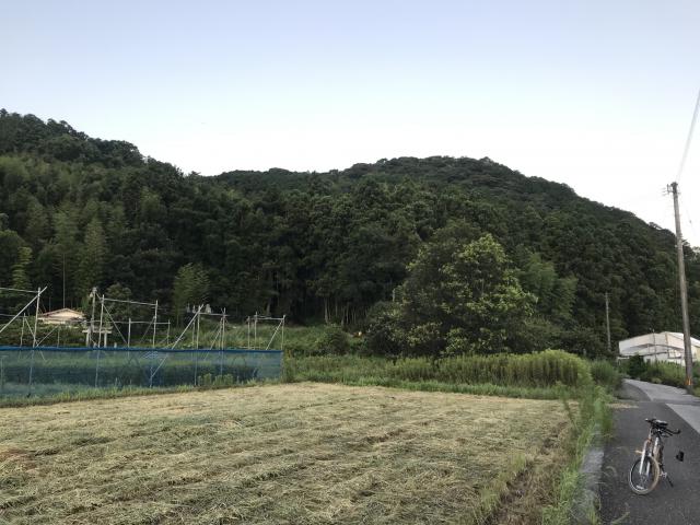 相撲場、仕置場