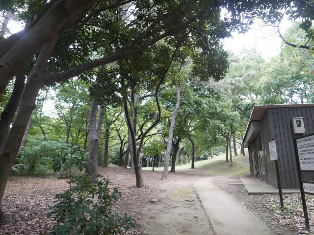 大井ふ頭の森、キャンプ場