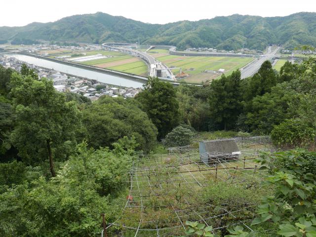 スモモモモモモ