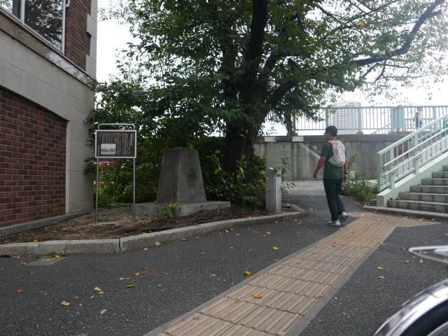 隅田川の風景