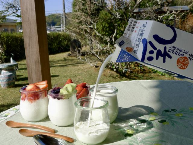 自家製ヨーグルトは低温殺菌牛乳で