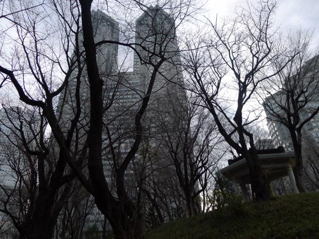 東京近郊、早朝の行楽