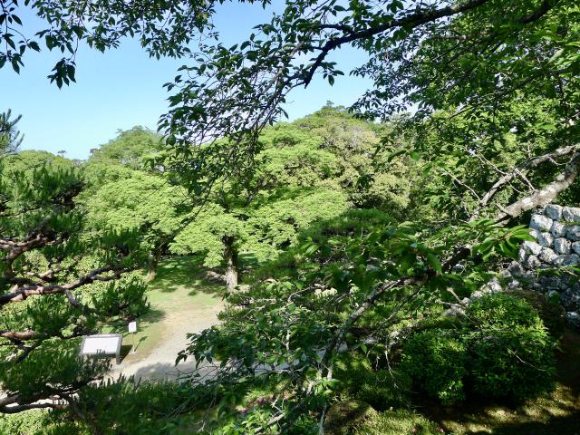 半世紀昔の動物園
