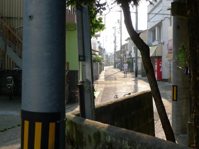 旭と偏角
