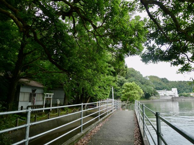 鎮若宮八幡宮、仁井田神社、マリンセンター