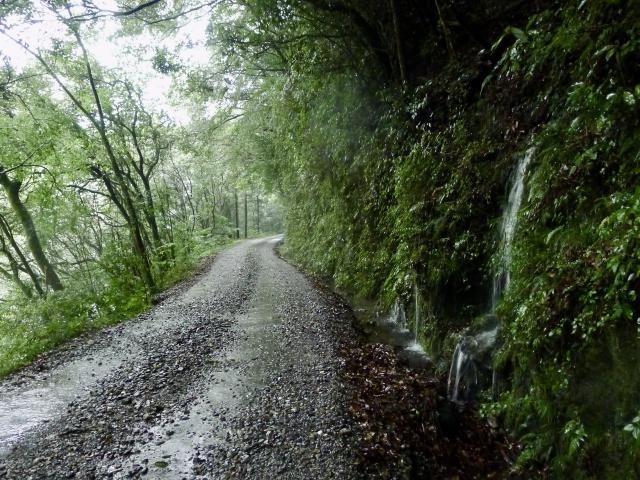 雨の寺村でしみじみ