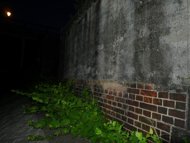 新しい技術を活用する
