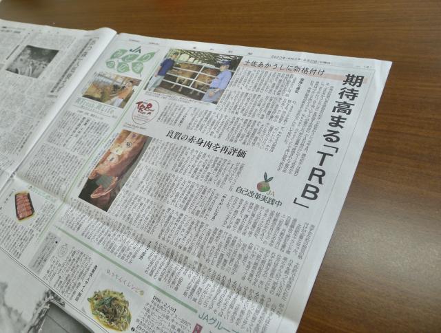 土佐あかうしらしいビーフ