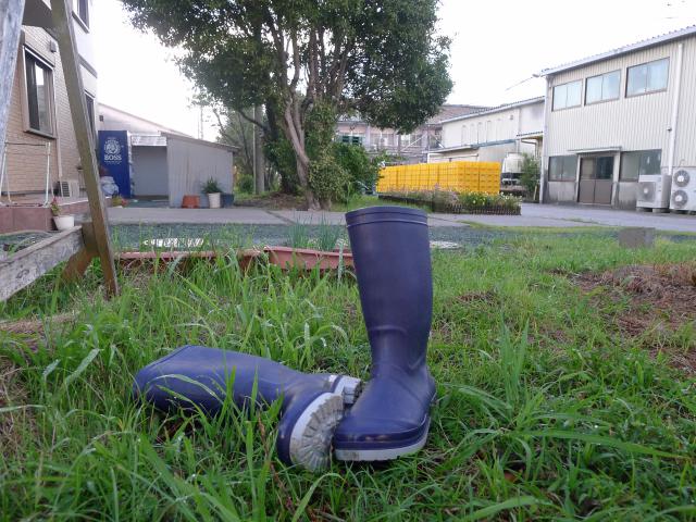 雨、木履、下駄、長靴