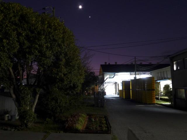 金星、キンモクセイ、筒美京平