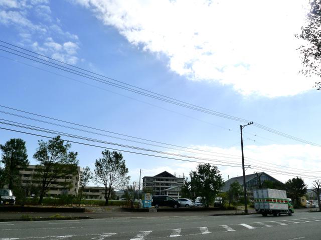 布師田、ぢばさん、水害、疫病