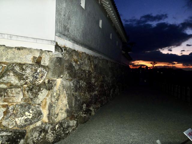 蛇紋岩の角石