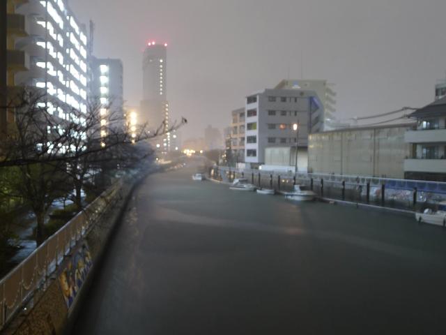 春の雨、堀川の雨