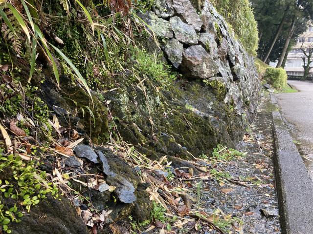 地球環境と脱プラと蛇紋岩