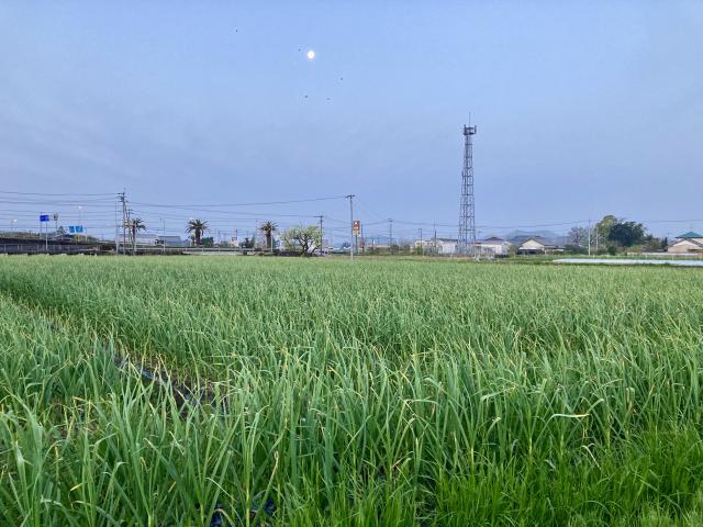 農地と津波と集落と人間