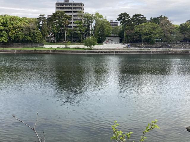 ロープウェイは、ここに