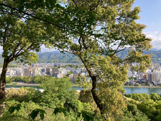 16年後の筆山から